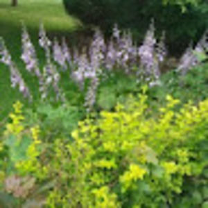 Meet your Posher, Sean